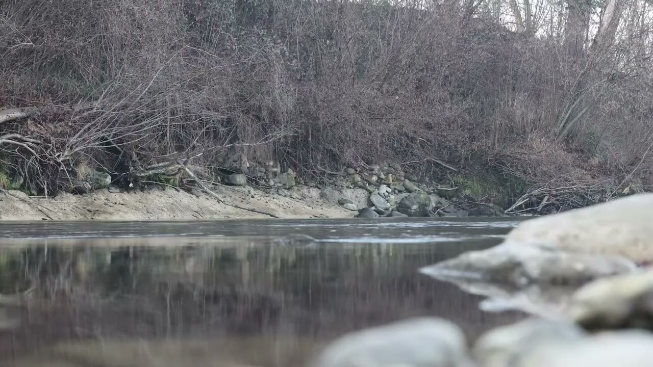 10 Hours of River Sounds | Deep Sleep and Peaceful Relaxation and Sleep fur TV