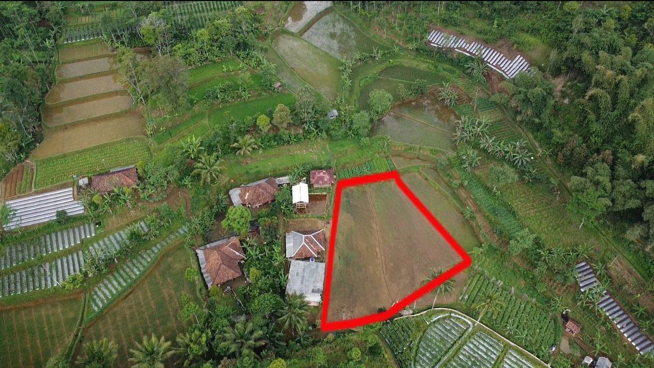Dijual Tanah Sawah 1430 m2 SHM di Perkampungan daerah Dingin Ada Air Mengalir Bojong Purwakarta