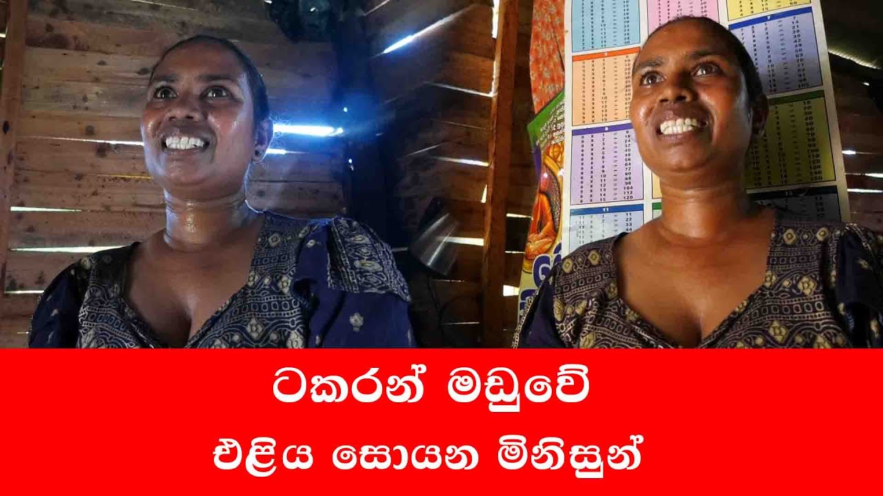තේ වතුවල තේ දළුවල අග ජිවිතය සොයන මිනිසුන්