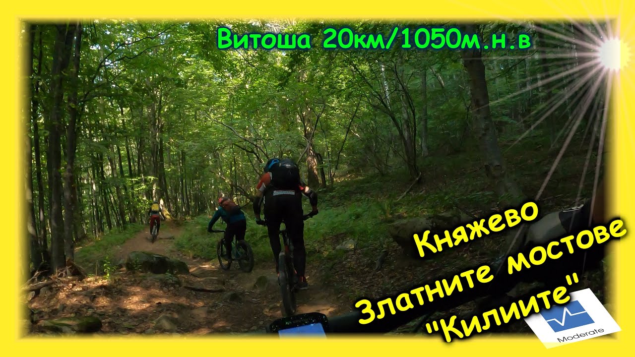 Златните мостове и 3 пътеки надолу към Дедо Мацо/@Vitosha Mountain