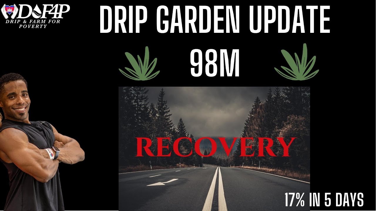 Drip Network Animal Farm Drip garden update 10 days post Rek claim strategy