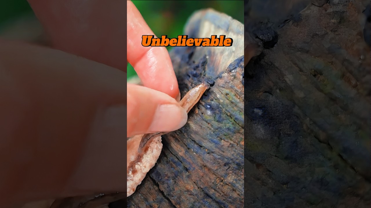 Sigma comedy part 206🤣 Amazing _Raju_Rani_Comedy #shorts #comedy_funny_video