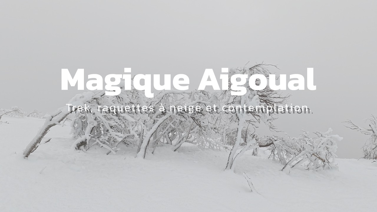 Randonnée hivernale depuis Valleraugue sur l'Aigoual et raquettes à neige sur le sommet.