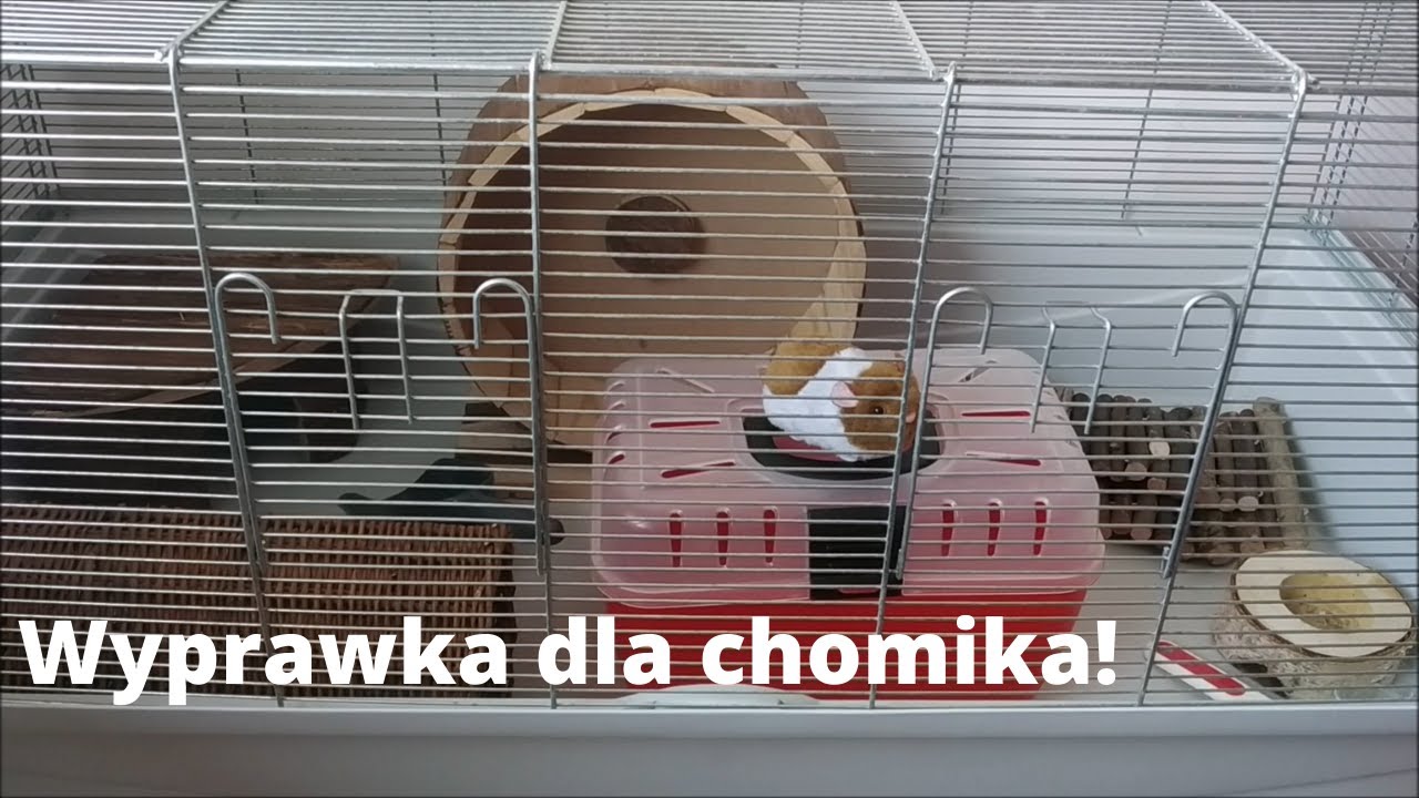 Wyprawka dla chomika! 🐹