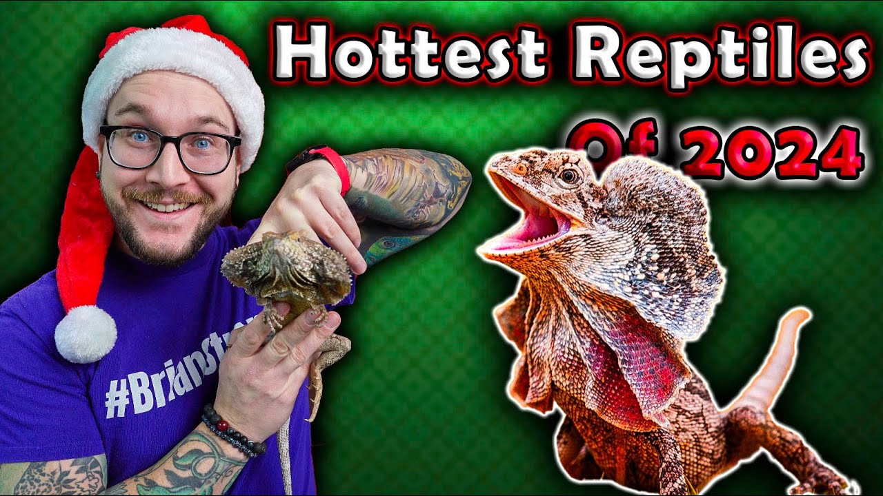 Top 5 Newly Popular Reptiles That Will BLOW UP in 2024!
