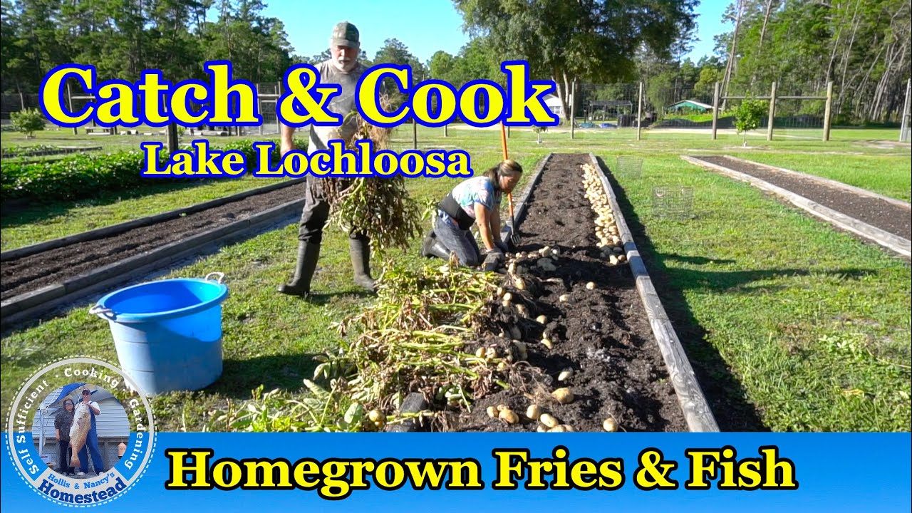 Catch & Cook Lake Lochloosa | Homegrown Fries & Fish