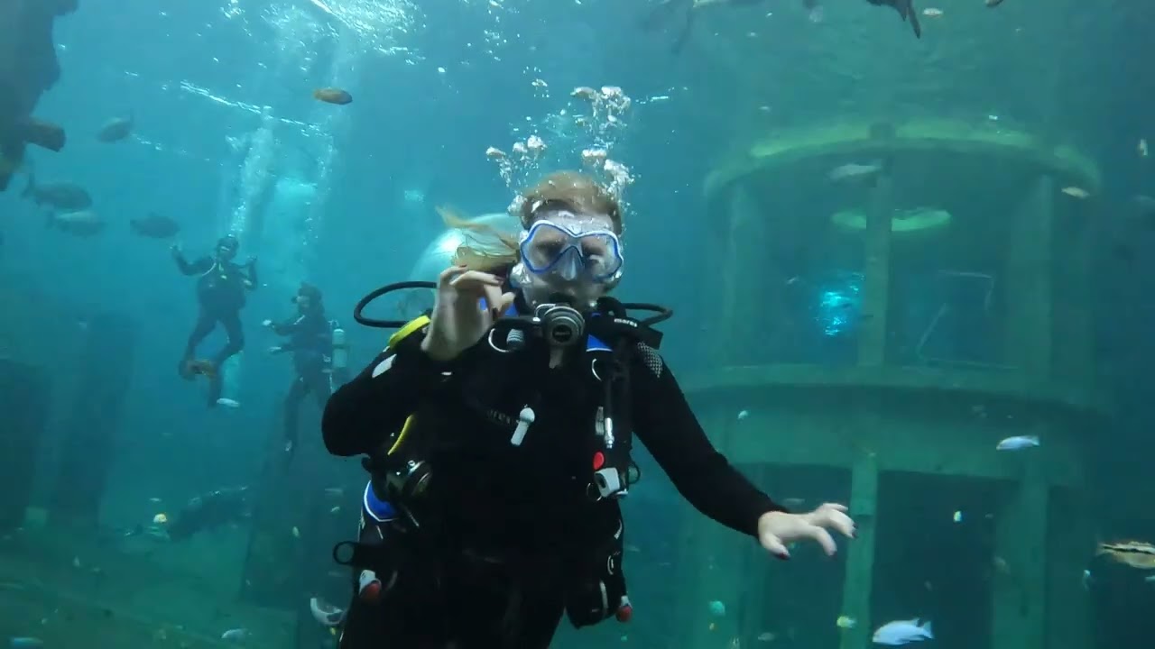 TODI indoor diving
