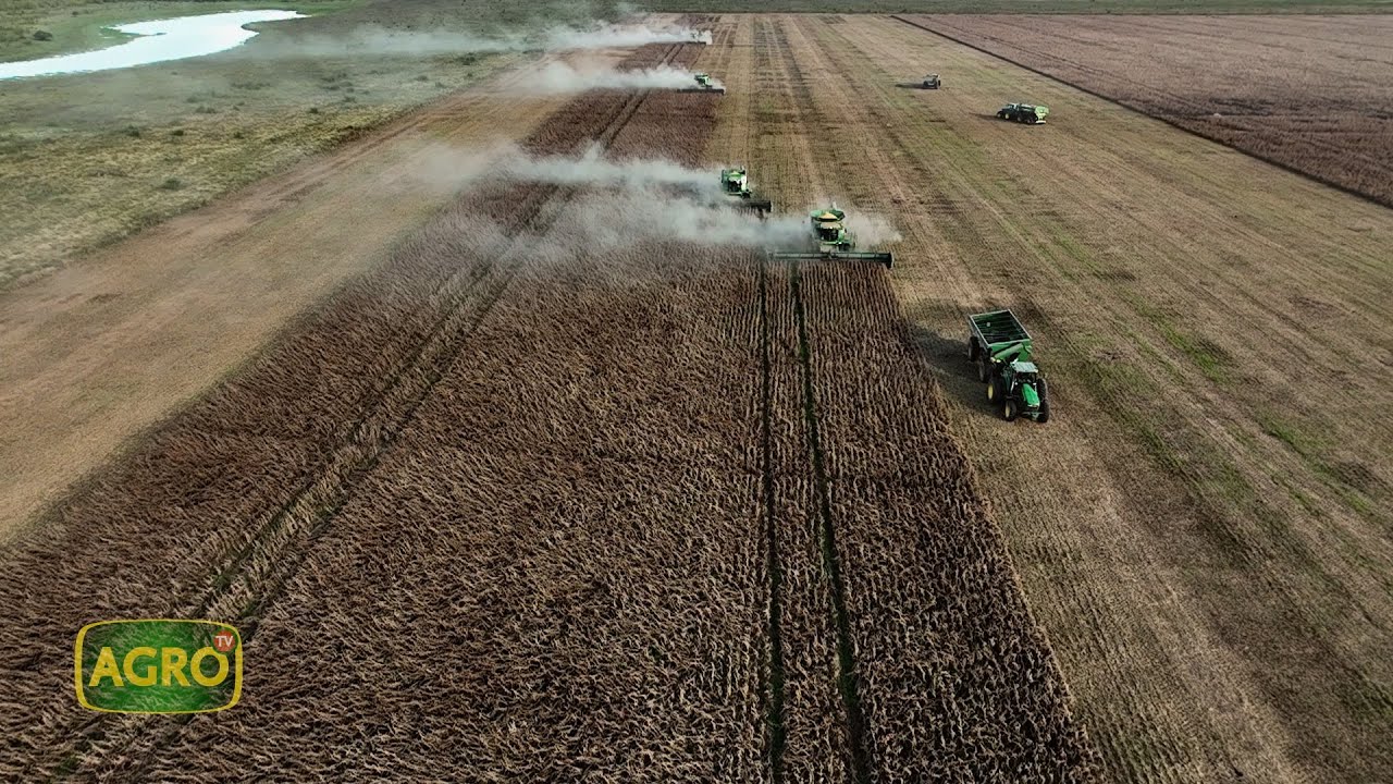 Est. Las Cabezas: Granos, especialidades y carne en 18 mil hectáreas tecnológicas (#1086 2024-06-01)