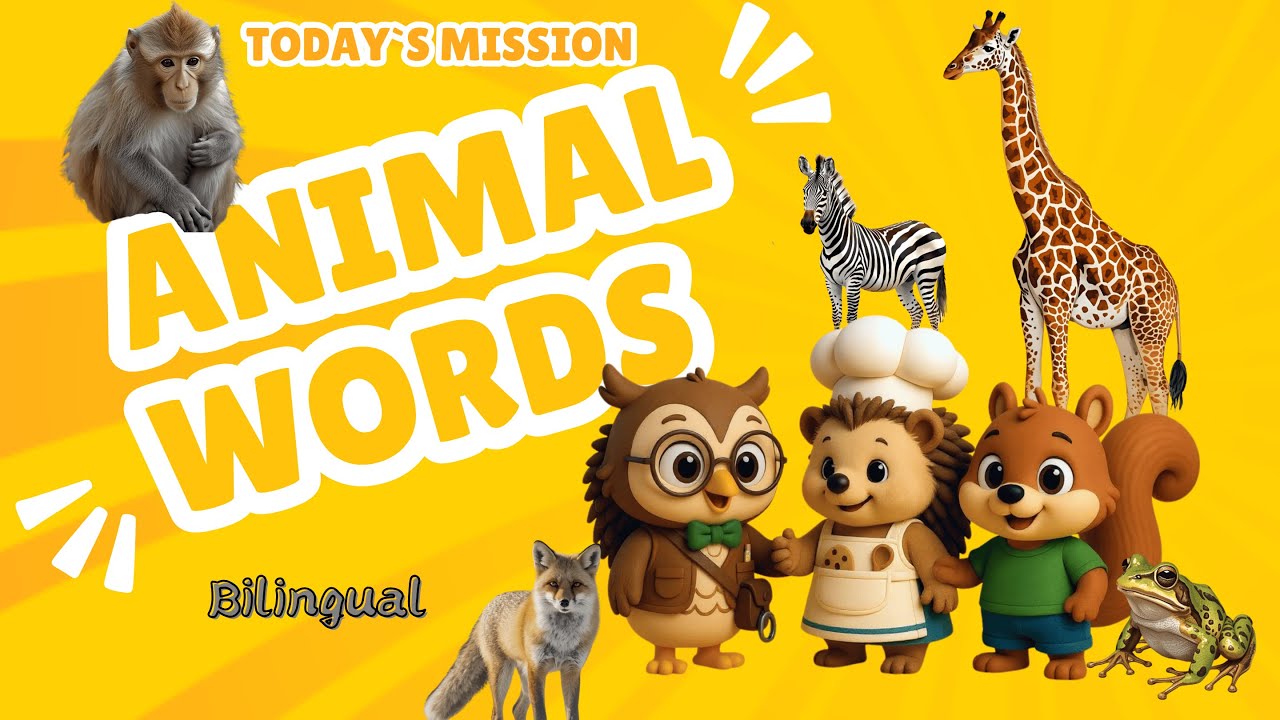 Bilingual👉5 Animals in 2 minutes!🦉Oille's Zoo Adventure: Learn Giraffe, Zebra, Frog!｜Toddler English