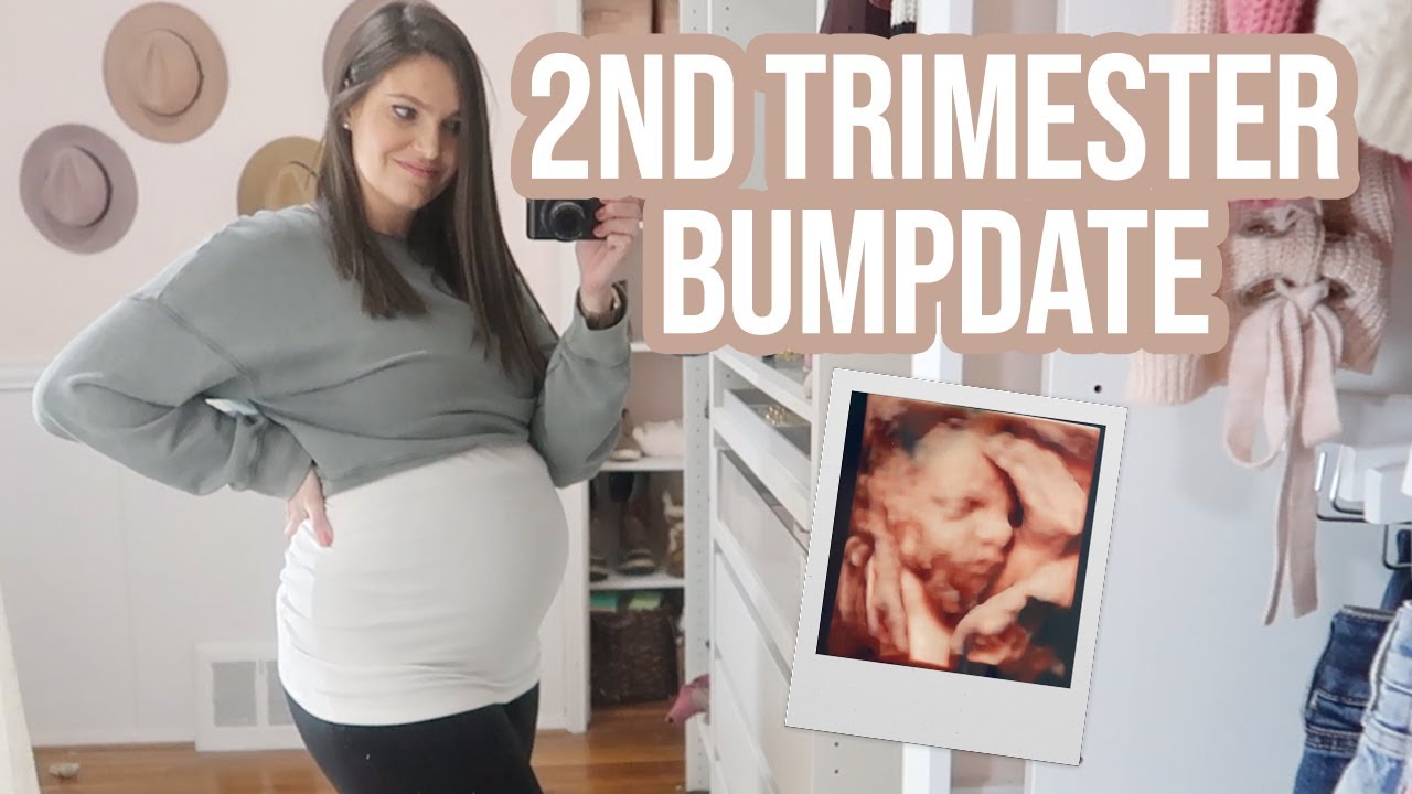 2ND TRIMESTER PREGNANCY UPDATE | Sarah Brithinee