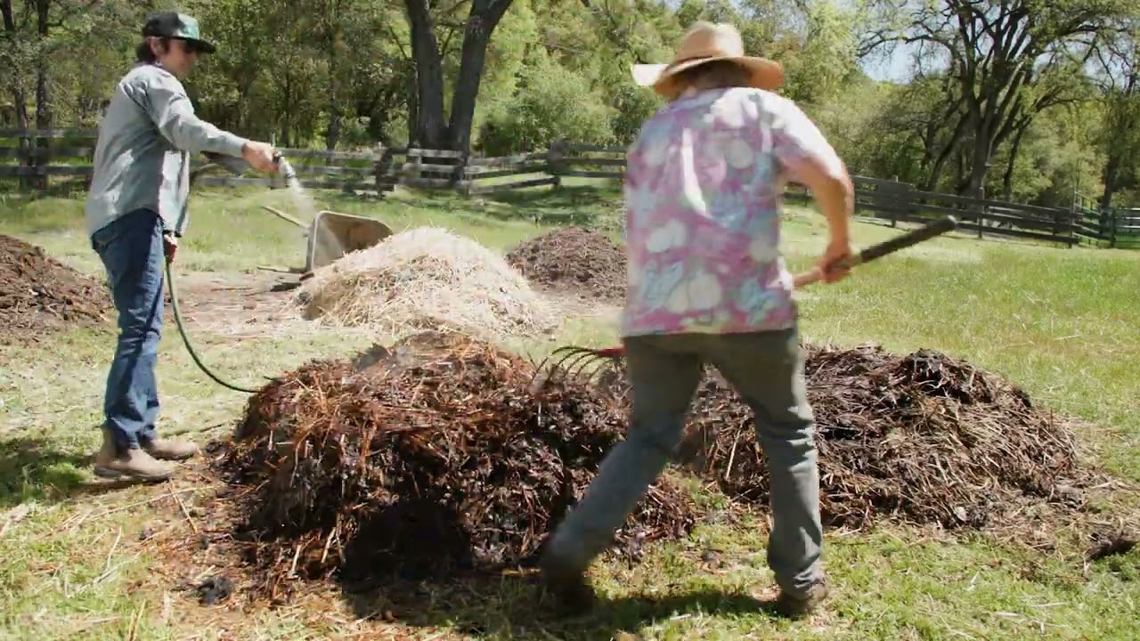 Turning  a Compost Pile at 2 Weeks