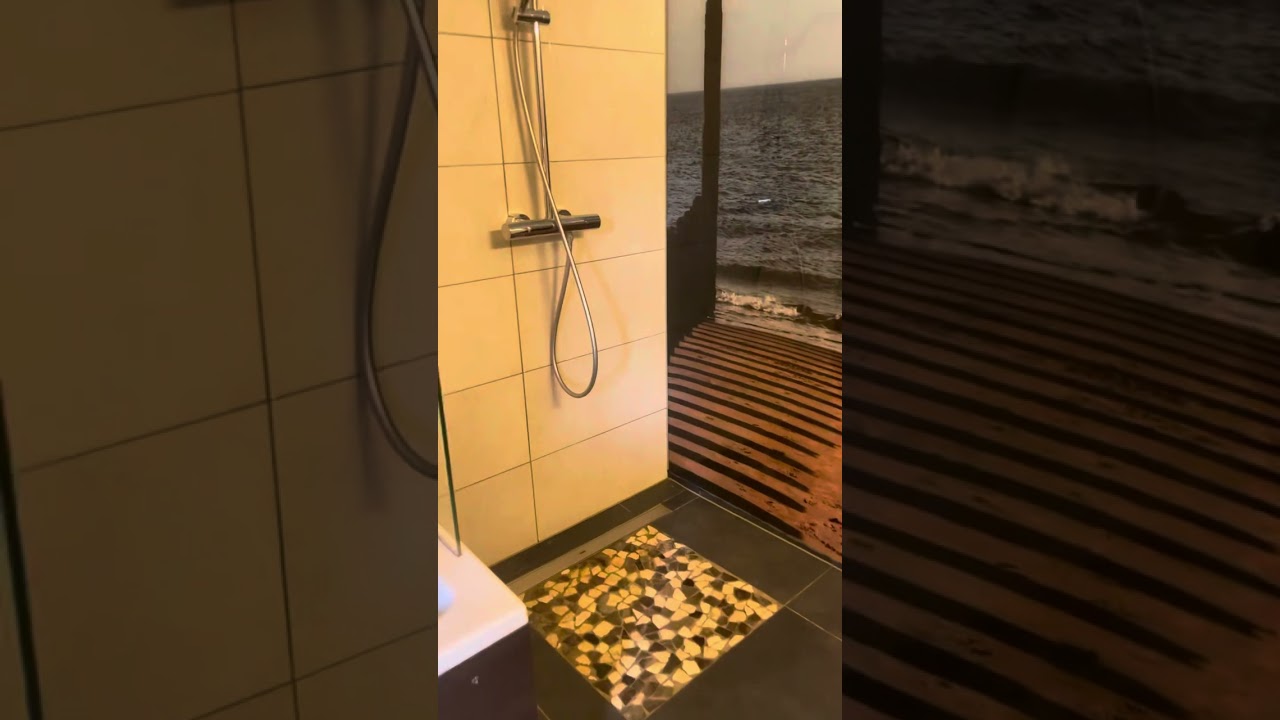 Center Parcs 2023 - Park Port Zelande - 4 Personen VIP Haus (Nr. 299)
