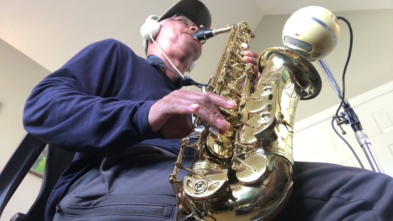 Celine Dion - That's The Way It Is - (Sax Cover by James E. Green)