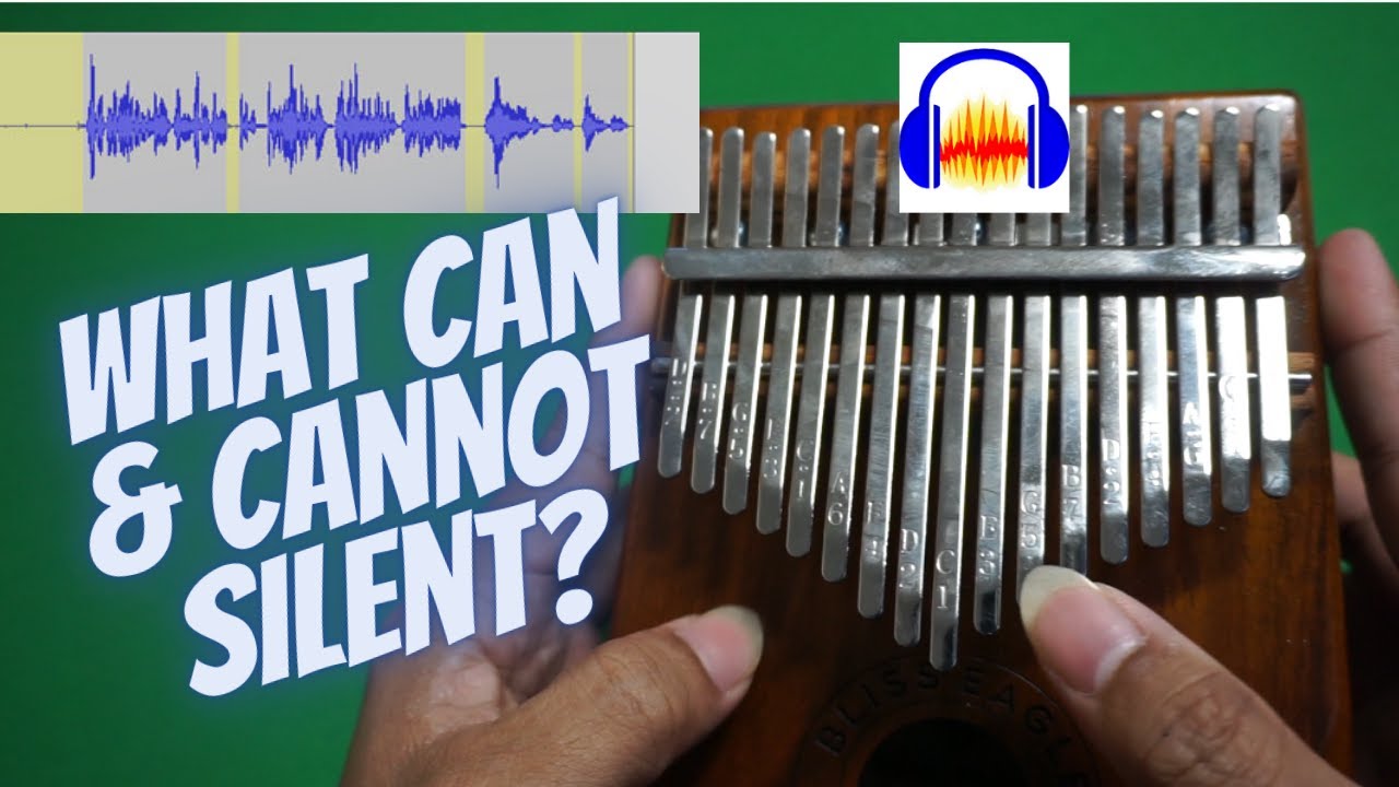 HOW TO REMOVE THE BACKGROUND NOISE in your KALIMBA RECORDING using AUDACITY