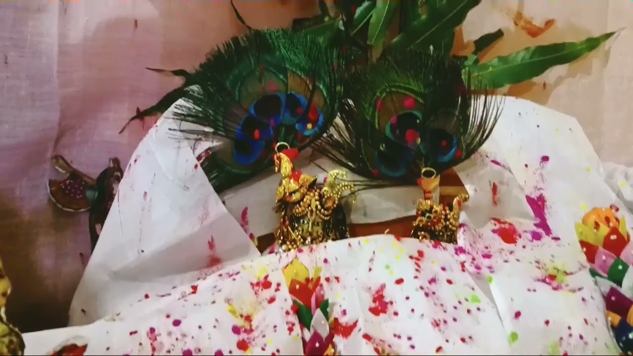 Patotsav/Holi/holi ke rasiya/Shrinathji/Nathdwara/Darshan/krishna Bhajan/Thakurji sang holi