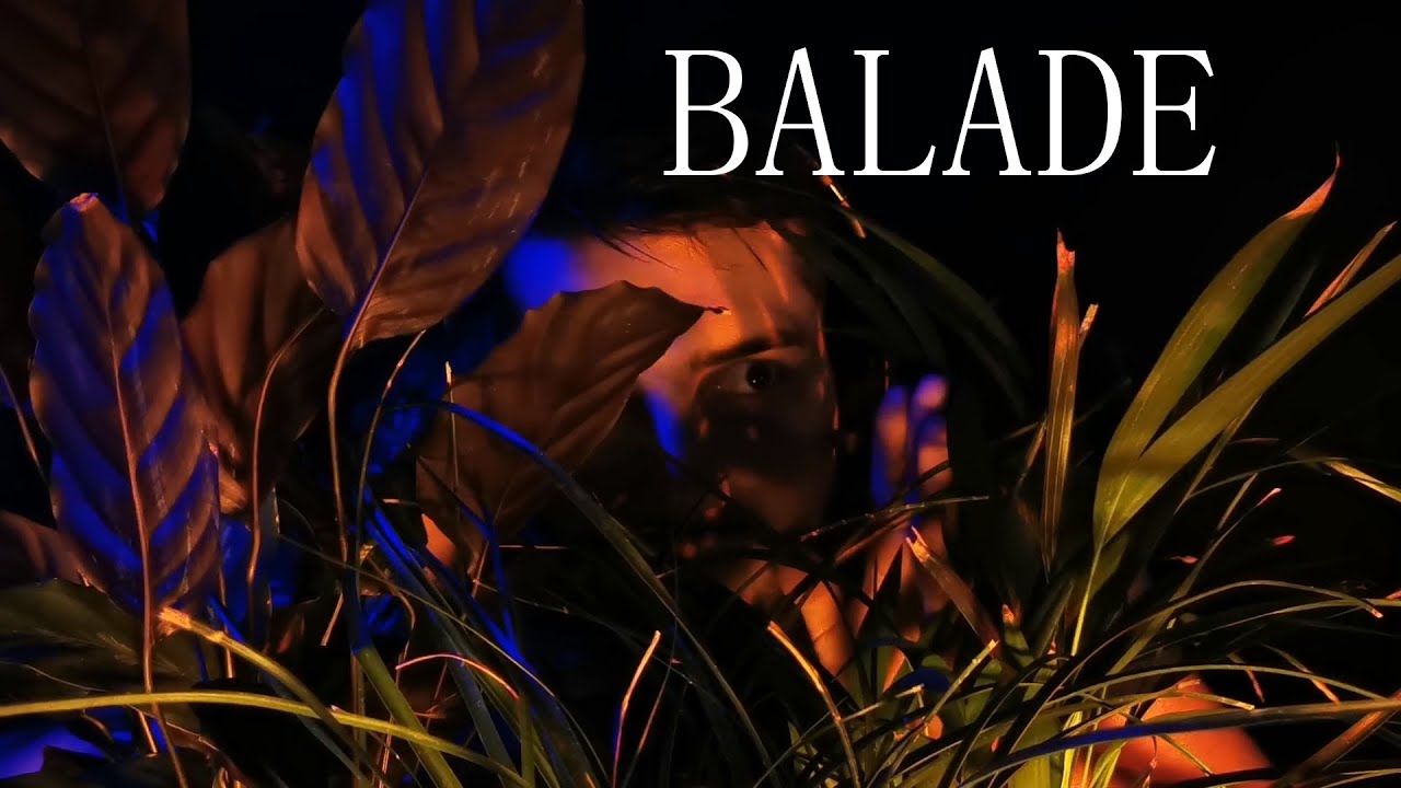 ASMR Français 😴 | Balade en Foret avec toi 🌲🌳