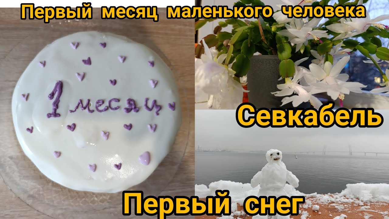 Первый месяц маленького человека. Готовлю бенто торт (ну почти бенто ☺️) Первый снег. Севкабель 