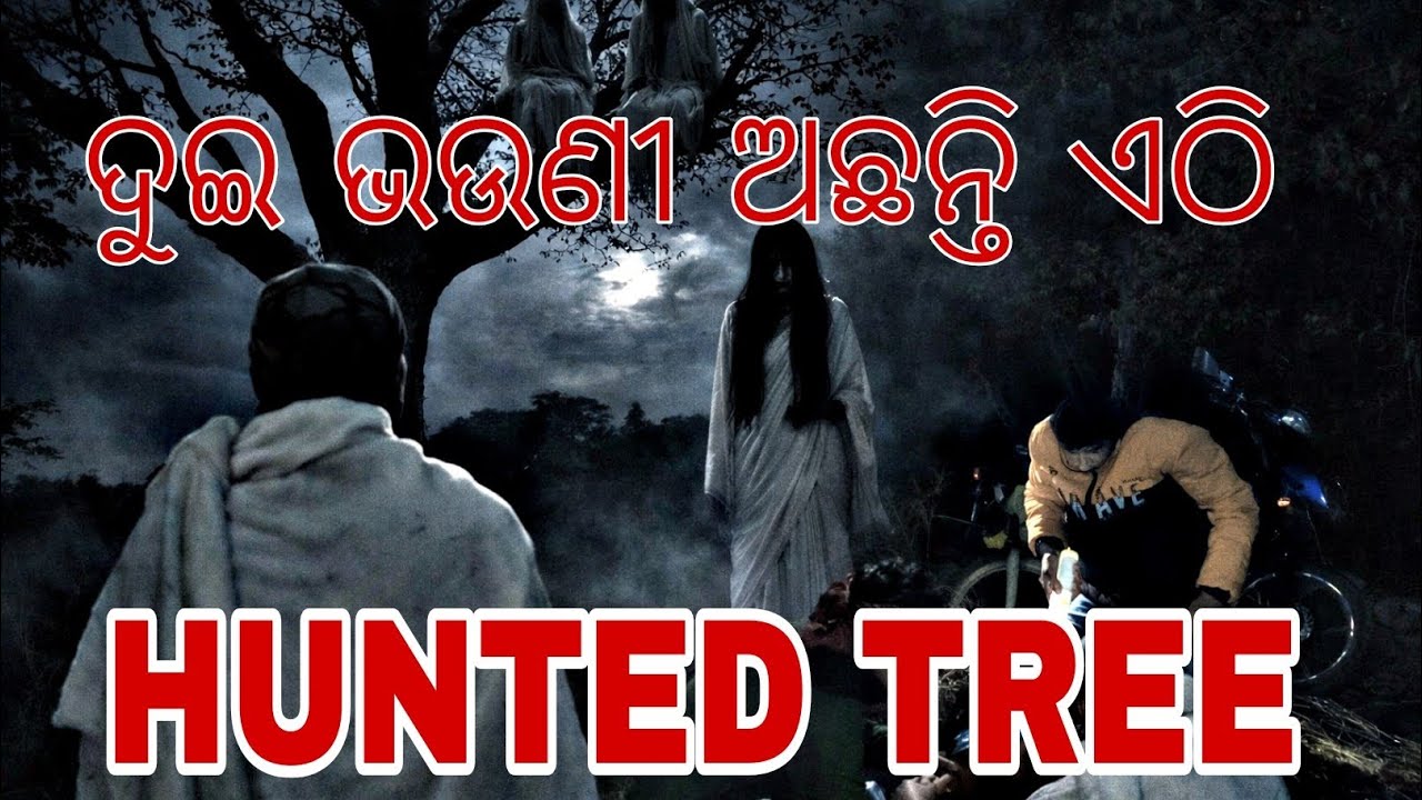 #hunted #huntedhistory #trending #vlogsvideos #ghosttree #2sister #khtarnak #ytstudioes #vlog 