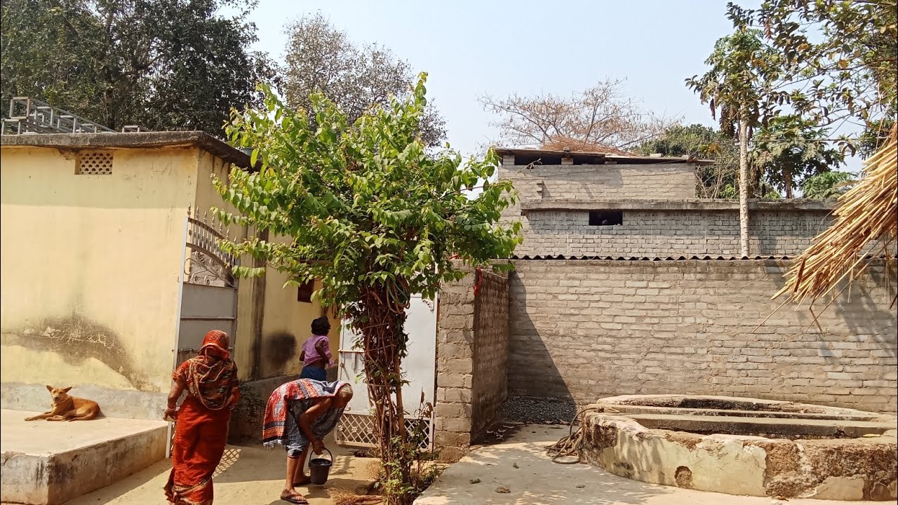 ଦୋଳ ପୂର୍ଣ୍ଣିମା 😱😱 ରେ (ଦୋଳ ପଣା) କେମିତି ଦିଆଯାଏ..🙄🌺#ytshort #dolapurnima 