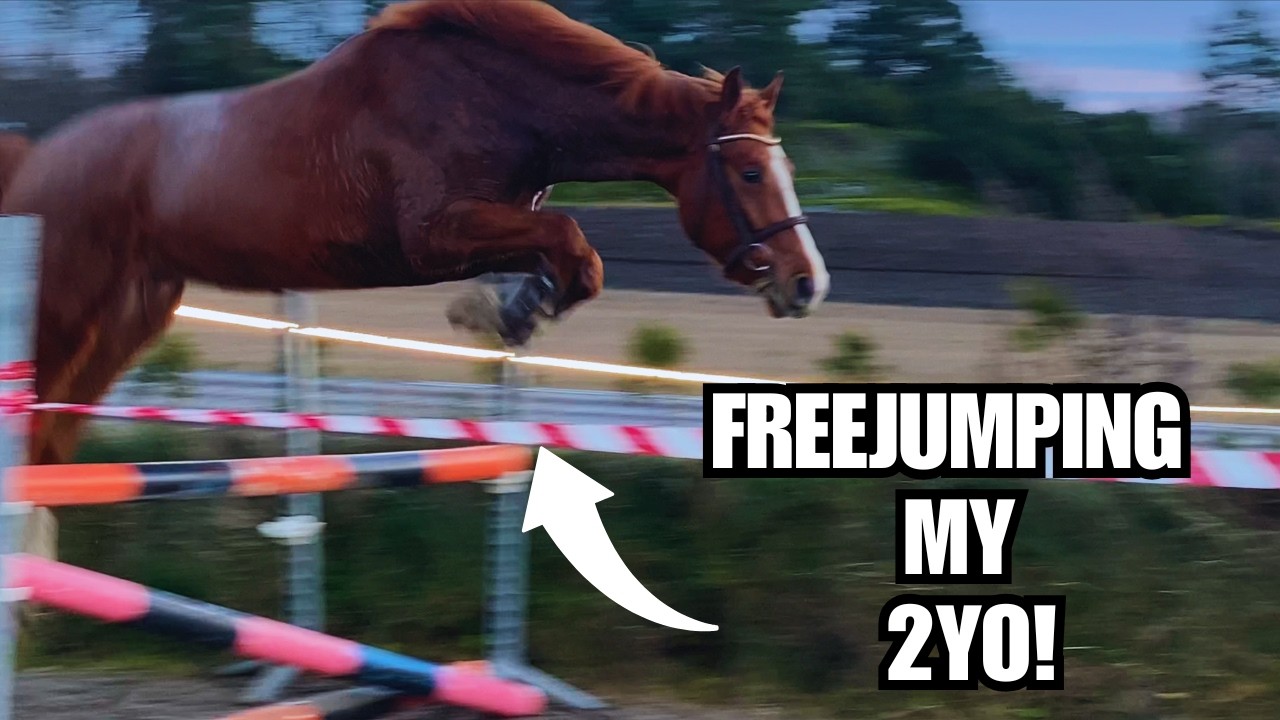 FREEJUMPING MY 2 YEAR OLD FOR THE FIRST TIME... I’M SHOCKED!
