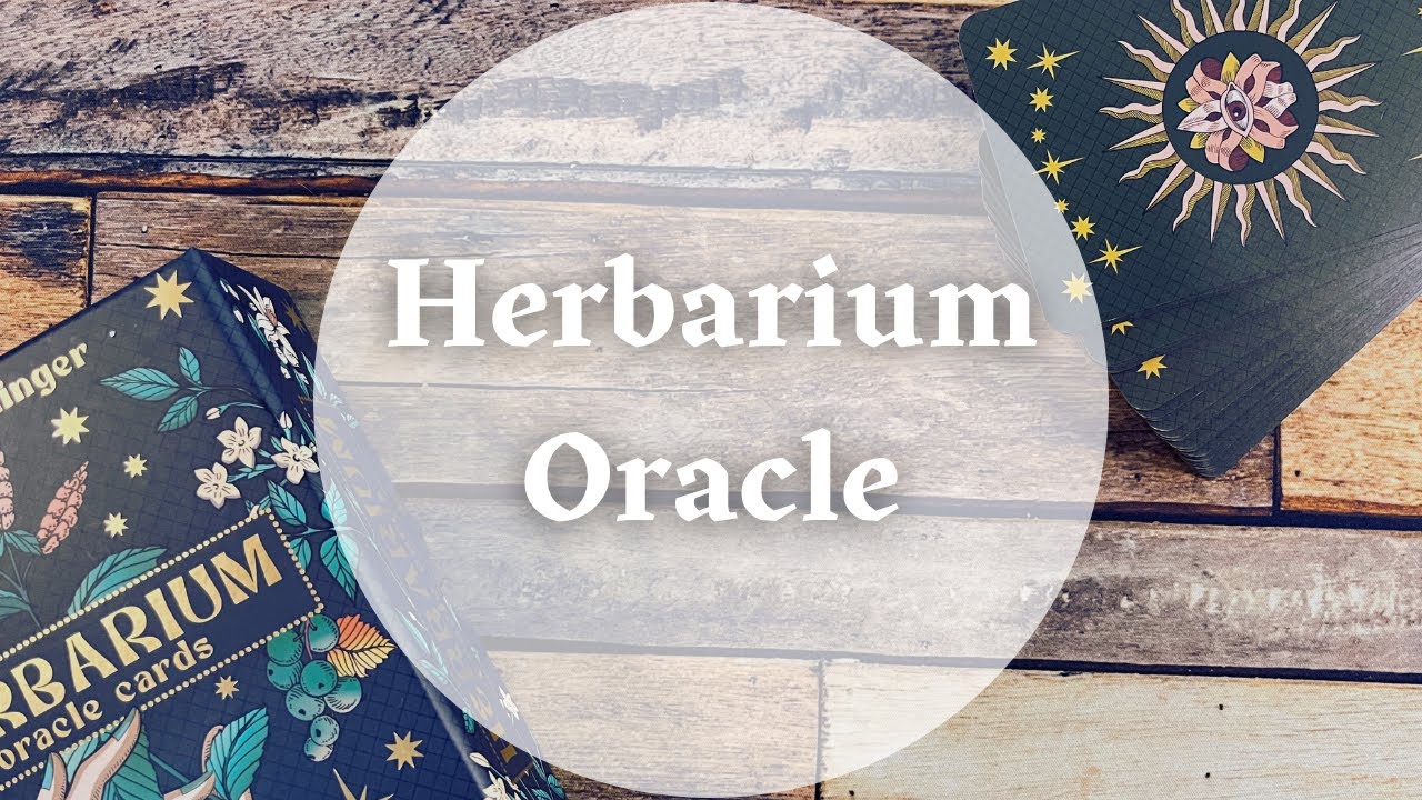 Herbarium Oracle | First Impression & Walkthrough