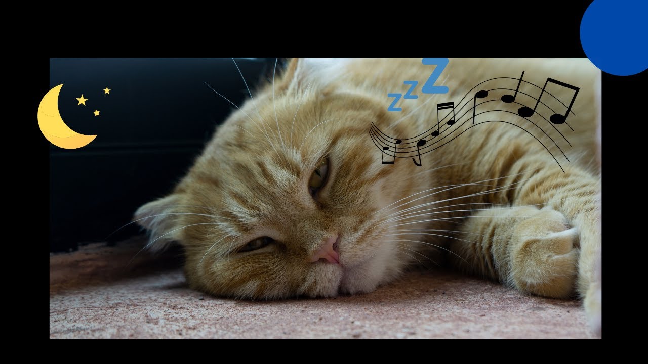 Musique  Relaxante Piano, Belle  Musique Relaxante  :  Musique  pour  dormir