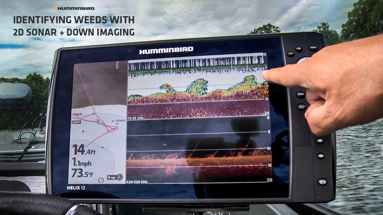 How to Identify Weeds with Down Imaging and 2D Sonar