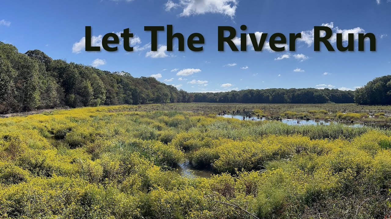 Let the Nissequogue River Run: The Case for Not Rebuilding the Failed Stump Pond Dam