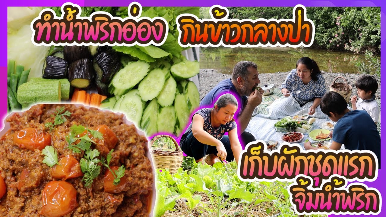 EP.281 เก็บผักจากสวน ทำ