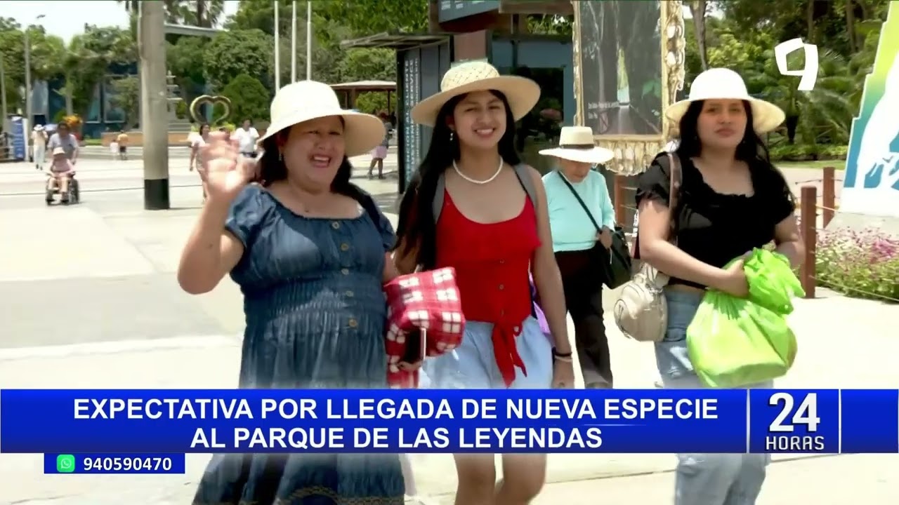 Una nueva especie llegará al Parque de Las Leyendas