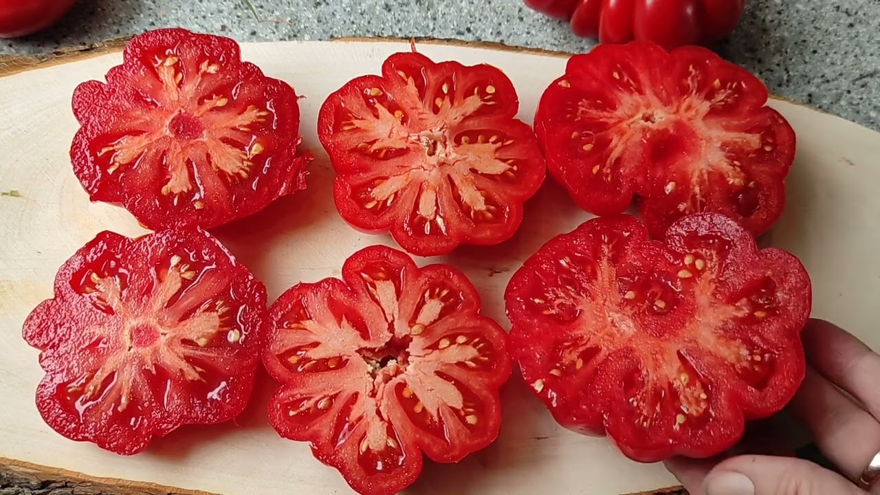 🍅Tomaten nach Sorten🍅Costoluto florentino,costoluto Genovese,Rubin Spalten(рубиновые дольки)