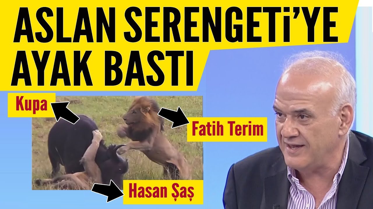 Ahmet Çakar Serengeti'ye daldı! Galatasaray'a övgüler yağdırdı
