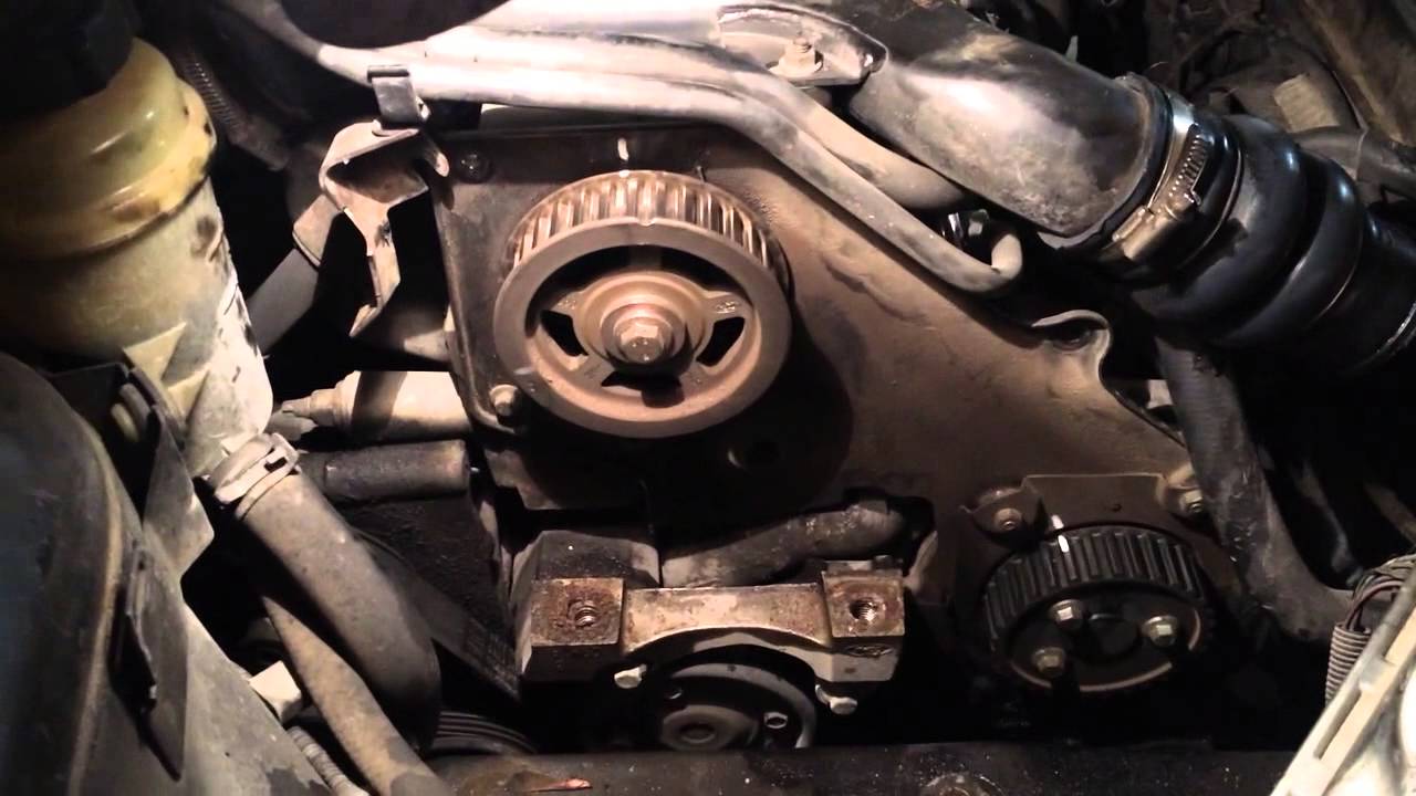 cinghia distribuzione ford focus tdci 2003