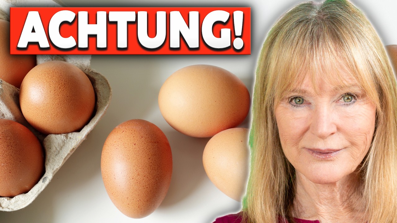 Ist ein Ei pro Tag zu viel? - DAS sagen Studien dazu