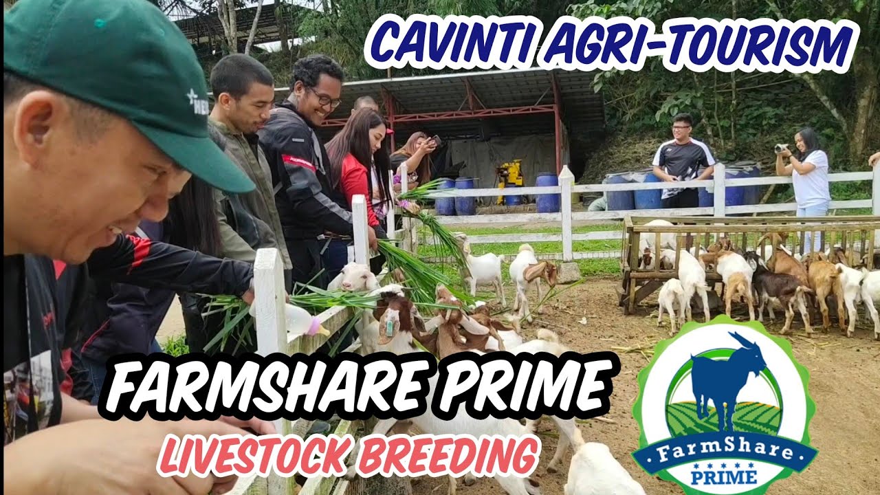 Cavinti Agri-Tourism : FarmShare Prime