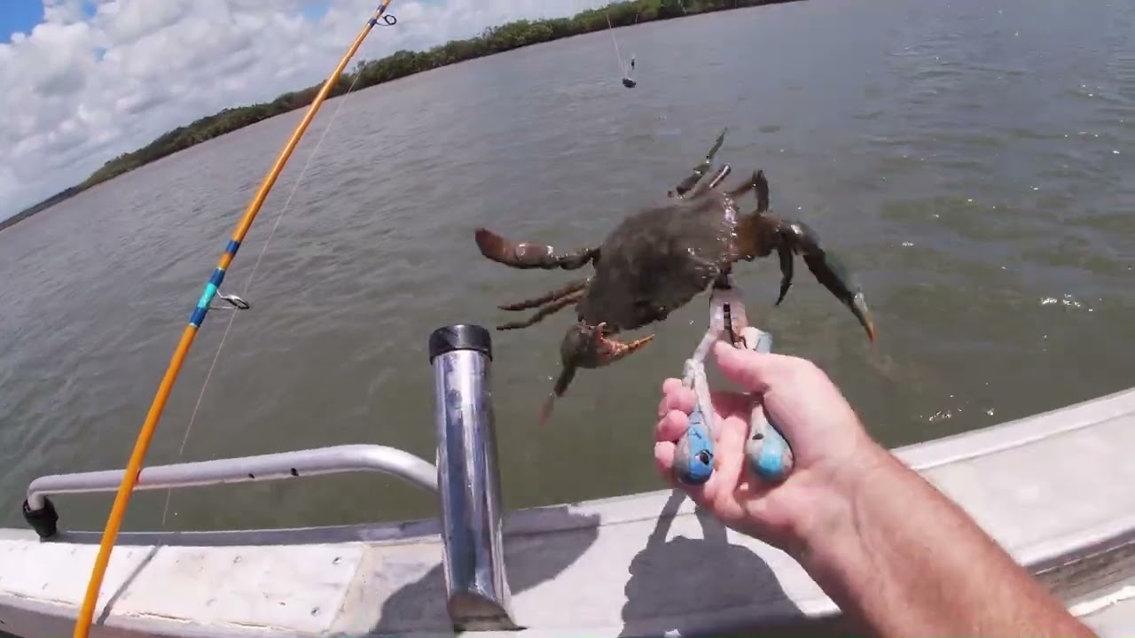 Fishing for Pop