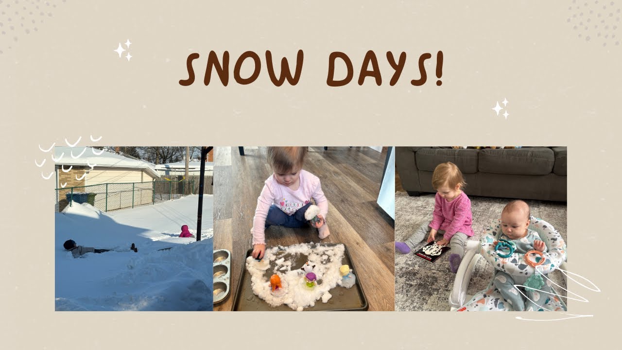 We survived a crazy Snowstorm!