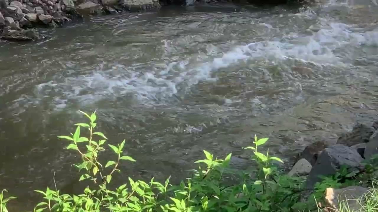 water sounds for Sleep and Relaxation