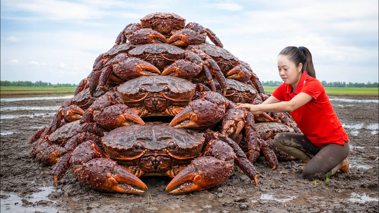 Harvesting Giant Lord Crab & Go to Market Sell | What happened to these Giant Crab? | Lina Fishing