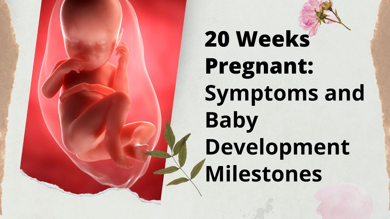 20 Weeks Pregnant: Symptoms and Baby Development Milestones | Health Care Lover