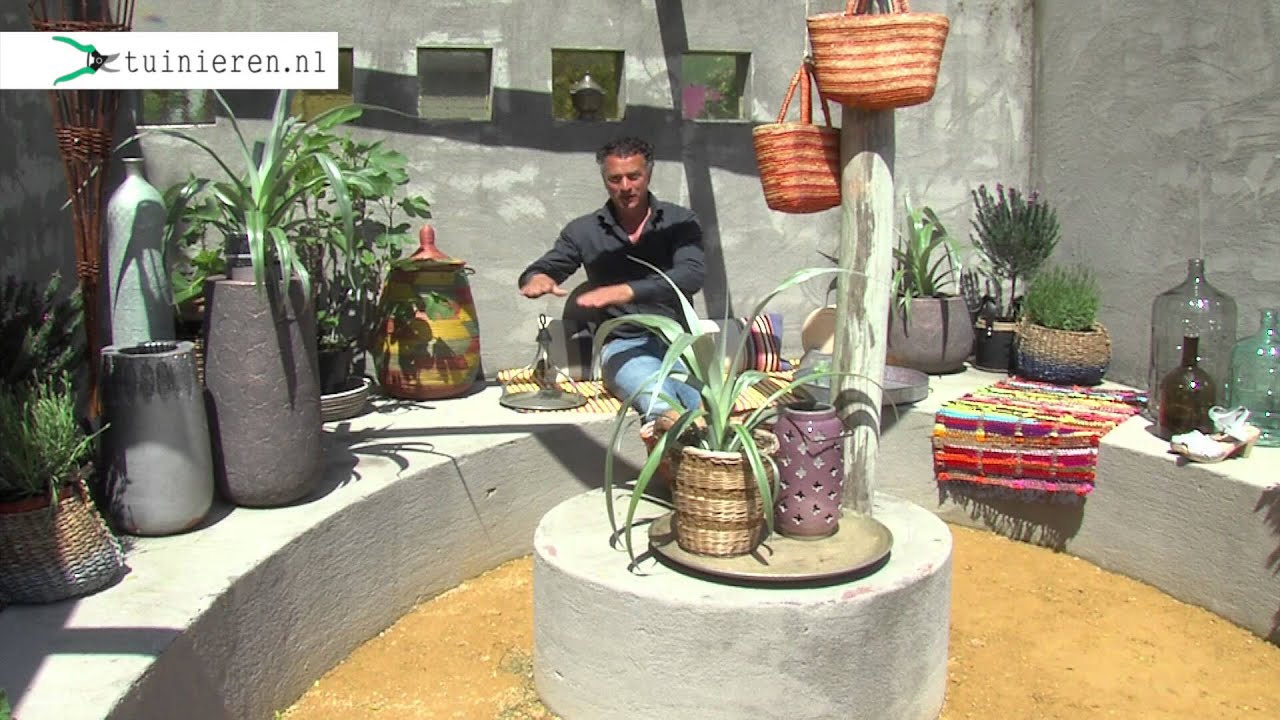 Mediterrane tuin aanleggen - Tuinieren.nl