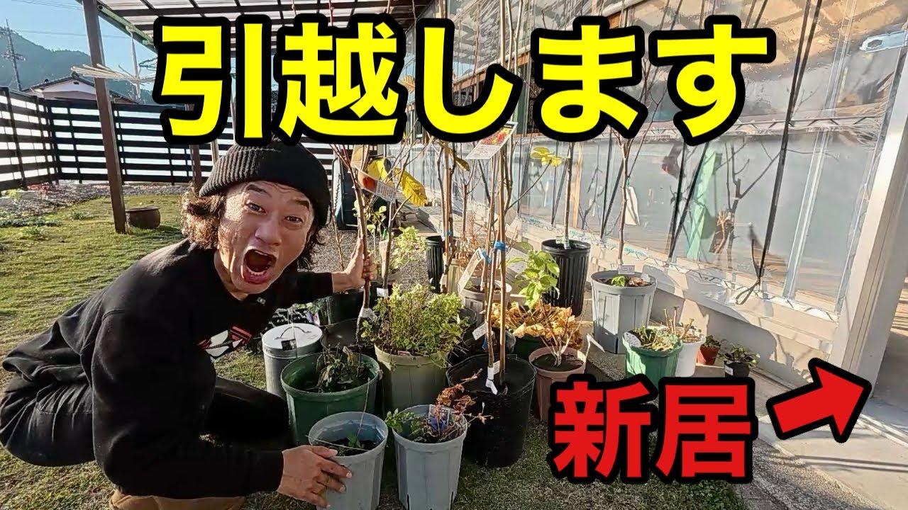 −5度の田舎の実家でたくさんの植物を育てます　【園芸超人カーメン君】【東栄町】