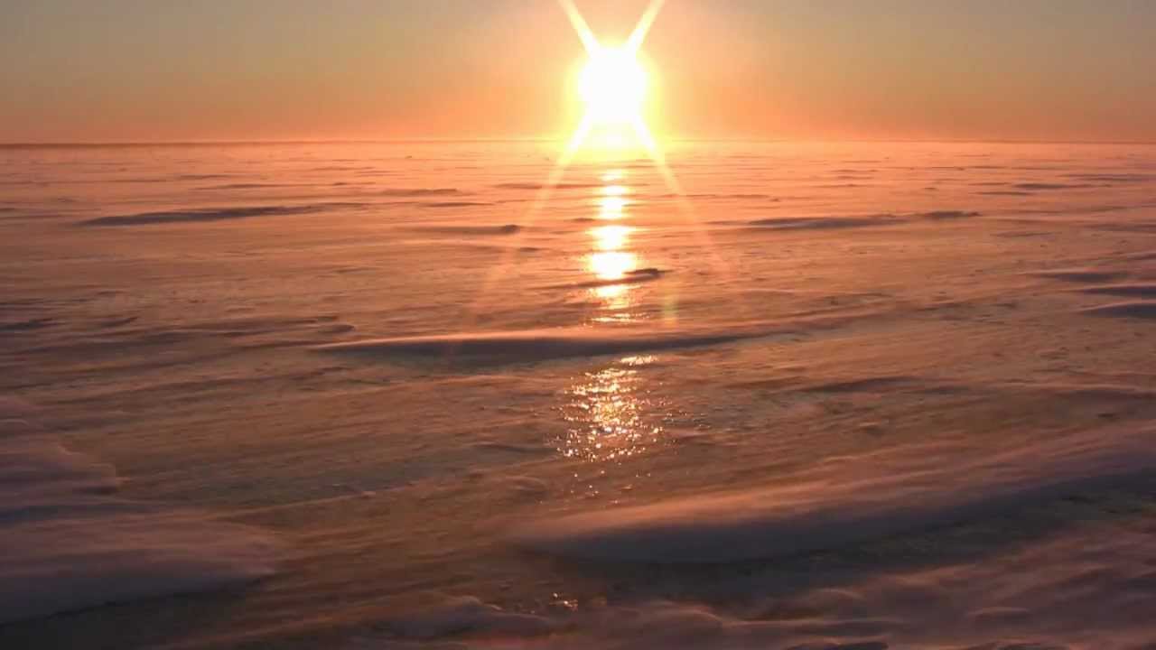 Polar bears at sunrise in the Wapusk National Park