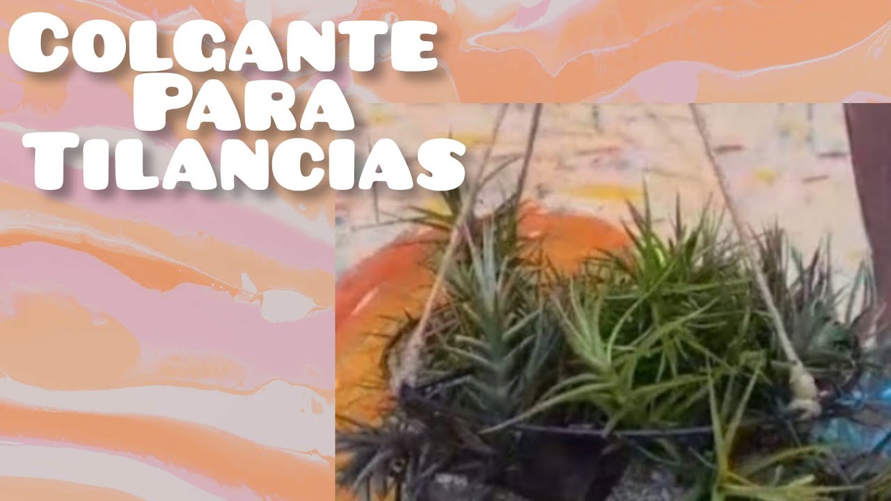 COMO COLGAR TILANCIAS
