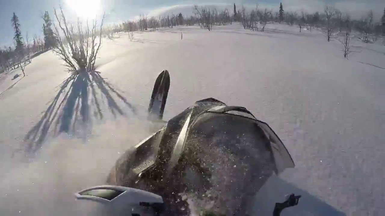 Ski-doo Summit in secret powder stash