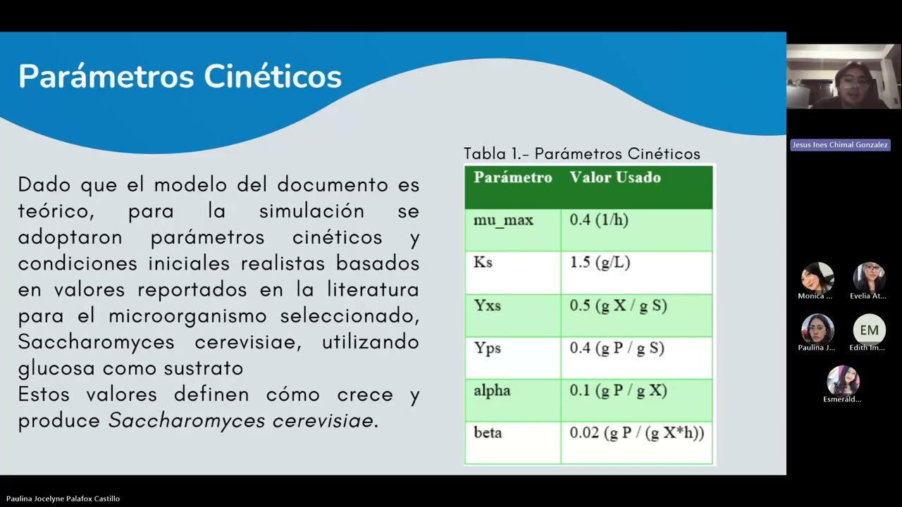 Proyecto de Biorreactores