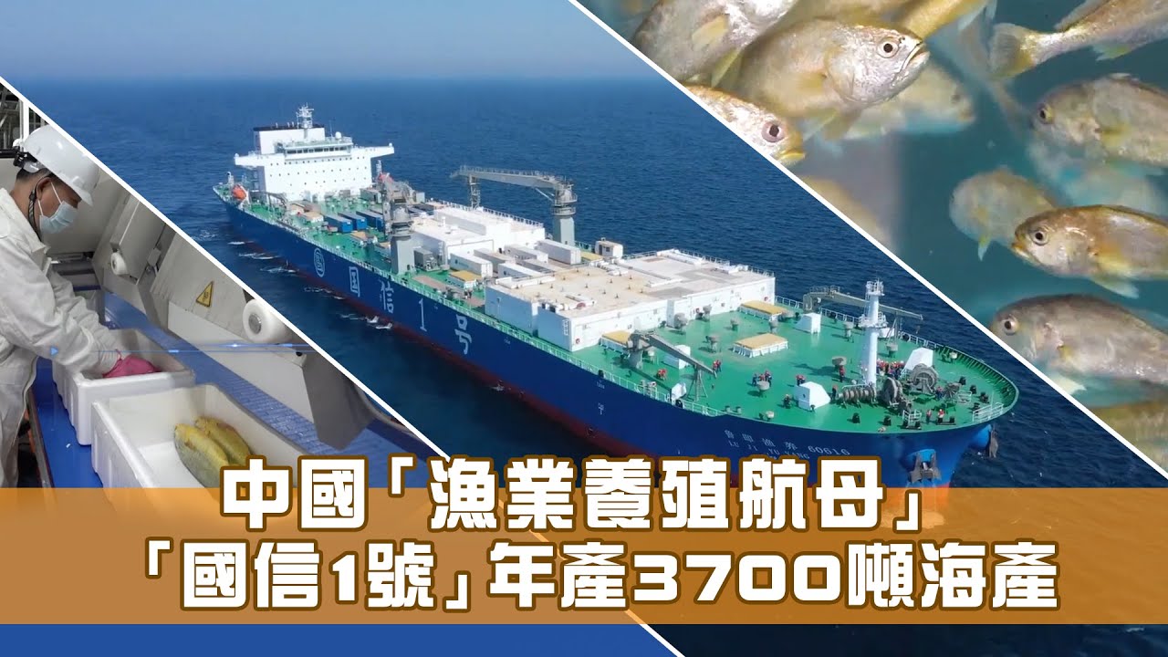 國信1號：全球首艘10萬噸級智慧漁業工船