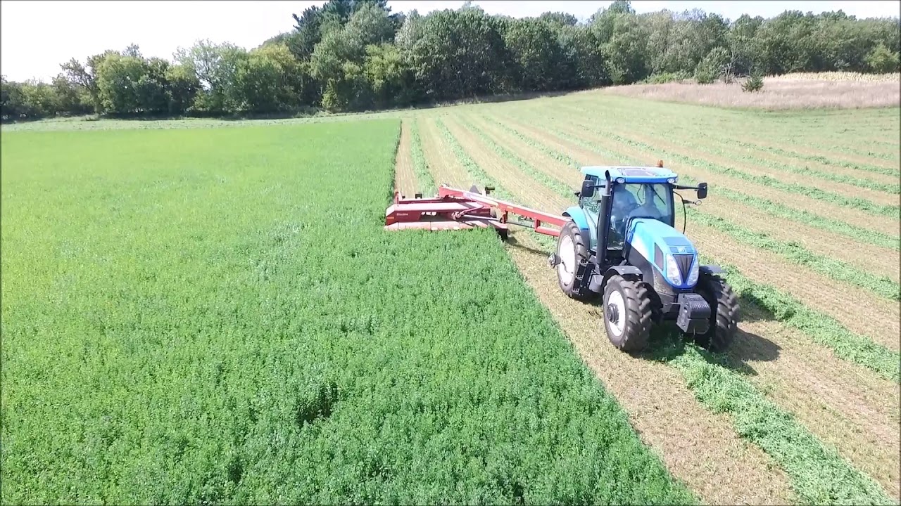 2017 Mowing third cutting alfalfa