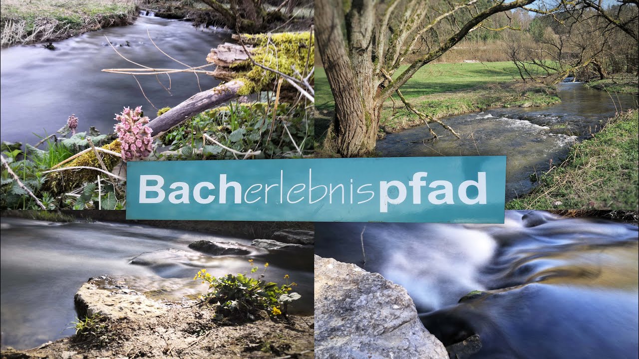 Nagold - Iselshausen | Bacherlebnispfad