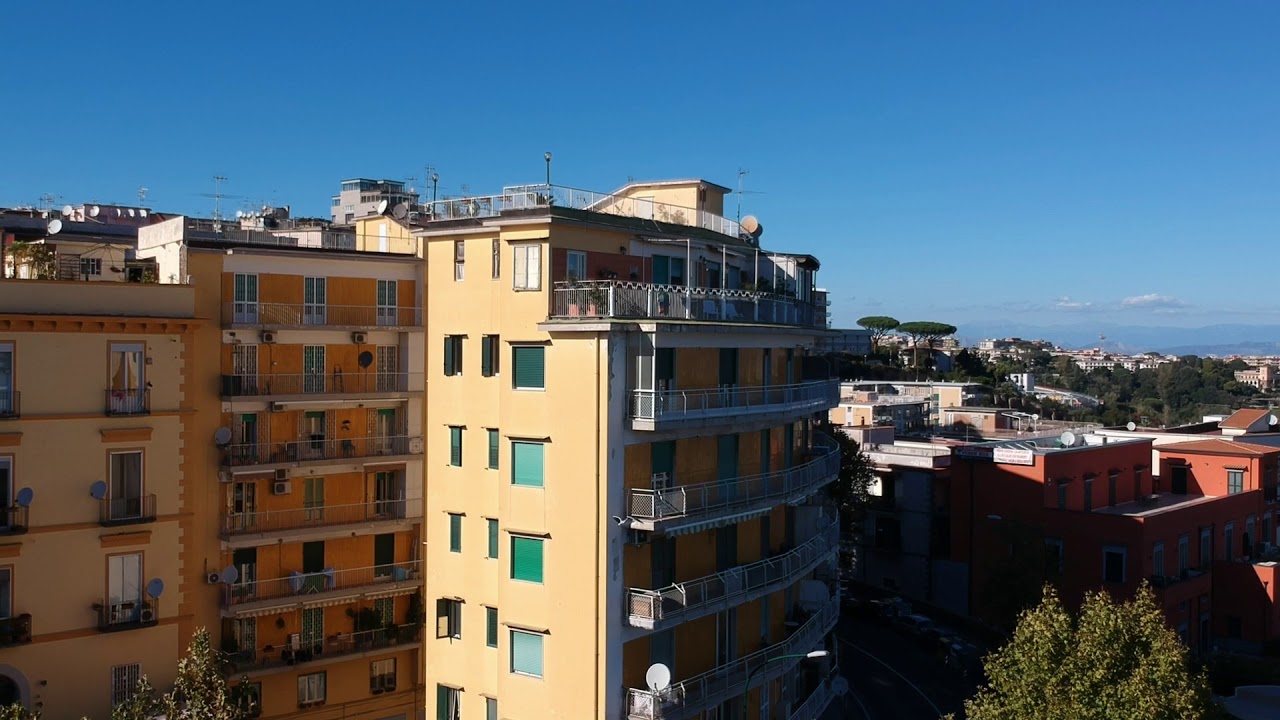 IL mio Gabbiano